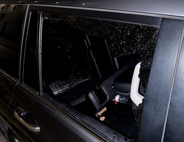 Desert  Bagel: Hakuna Matata